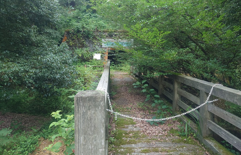 練馬区、中村橋・富士見台、サヤン鍼灸院・接骨院ブログ、尾小屋マインロード1