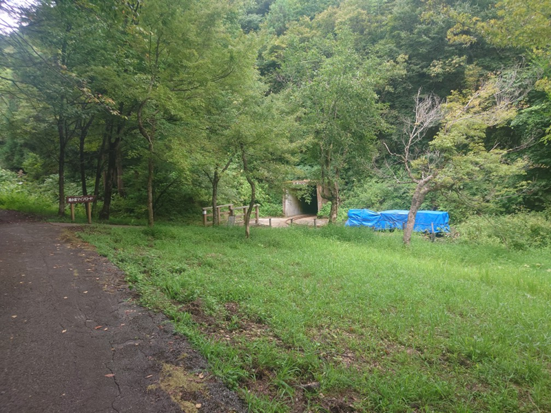 練馬区、中村橋・富士見台、サヤン鍼灸院・接骨院ブログ、尾小屋マインロード2