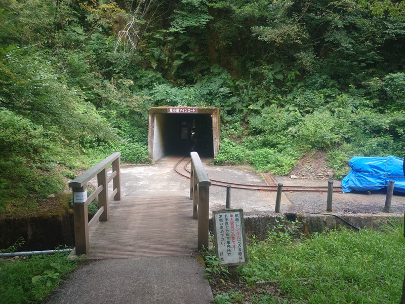 練馬区、中村橋・富士見台、サヤン鍼灸院・接骨院ブログ、尾小屋マインロード4
