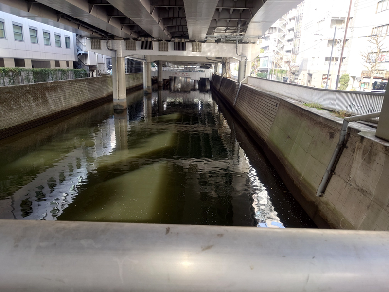 練馬区、中村橋・富士見台、サヤン鍼灸院・接骨院ブログ、日本橋川