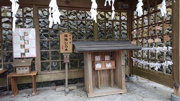 練馬区、中村橋・富士見台、サヤン鍼灸院・接骨院ブログ、三峰神社、縁結びの木、社