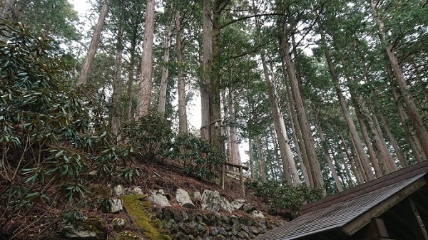 練馬区、中村橋・富士見台、サヤン鍼灸院・接骨院ブログ、三峰神社、縁結びの木