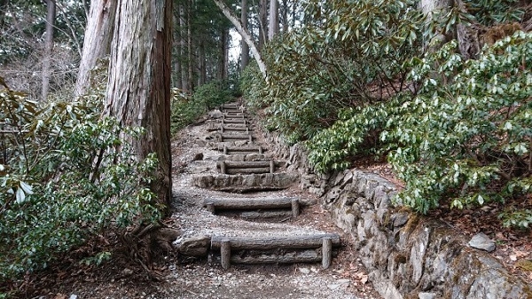 練馬区、中村橋・富士見台、サヤン鍼灸院・接骨院ブログ、三峰神社、御仮屋神社、裏道