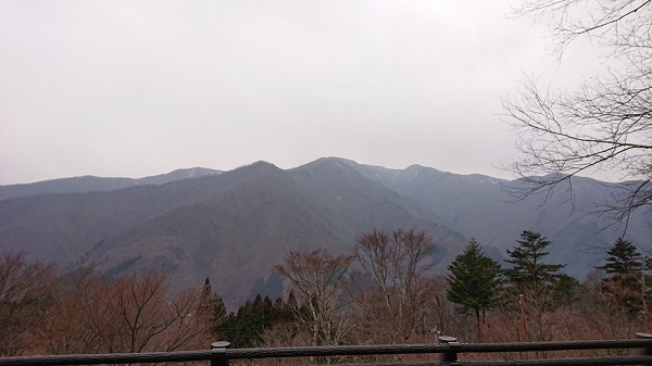 練馬区、中村橋・富士見台、サヤン鍼灸院・接骨院ブログ、三峰神社、大島屋への道２