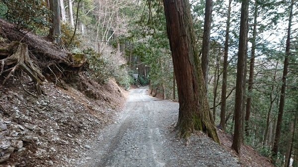 練馬区、中村橋・富士見台、サヤン鍼灸院・接骨院ブログ、三峰神社、裏参道