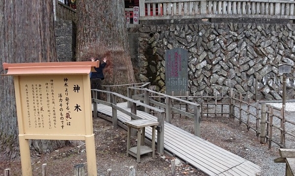 練馬区、中村橋・富士見台、サヤン鍼灸院・接骨院ブログ、三峰神社、ご神木２