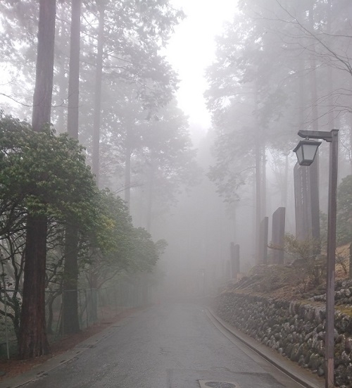 練馬区、中村橋・富士見台、サヤン鍼灸院・接骨院ブログ、秩父、三峰神社の参道途中