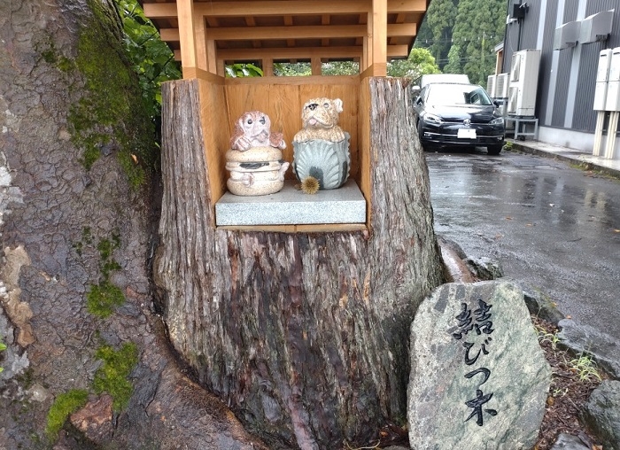 練馬区、中村橋・富士見台、サヤン鍼灸院・接骨院ブログ、結びつ木