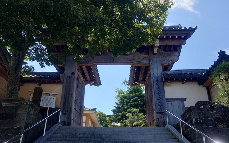 練馬区、中村橋・富士見台、サヤン鍼灸院・接骨院ブログ、念力門