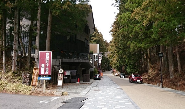 練馬区、中村橋・富士見台、サヤン鍼灸院・接骨院ブログ、日光、西参道、やまびこ