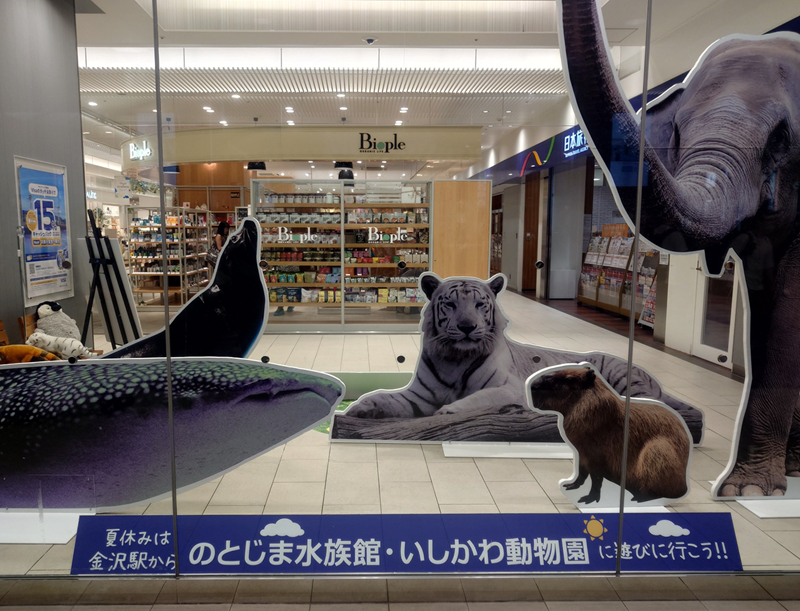 練馬区、中村橋・富士見台、サヤン鍼灸院・接骨院ブログ、のとじま水族館と金沢動物園