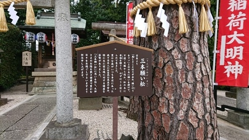 練馬区、中村橋・富士見台、サヤン鍼灸院・接骨院ブログ、沼袋・氷川神社・三本願い松看板