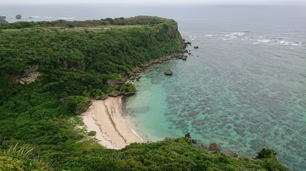 練馬区、中村橋・富士見台、サヤン鍼灸院・接骨院ブログ、ぬちうなー、果報バンダ、ウミガメの海岸