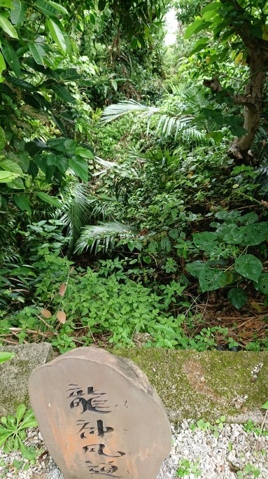 練馬区、中村橋・富士見台、サヤン鍼灸院・接骨院ブログ、ぬちうなー、龍神風道を覗く