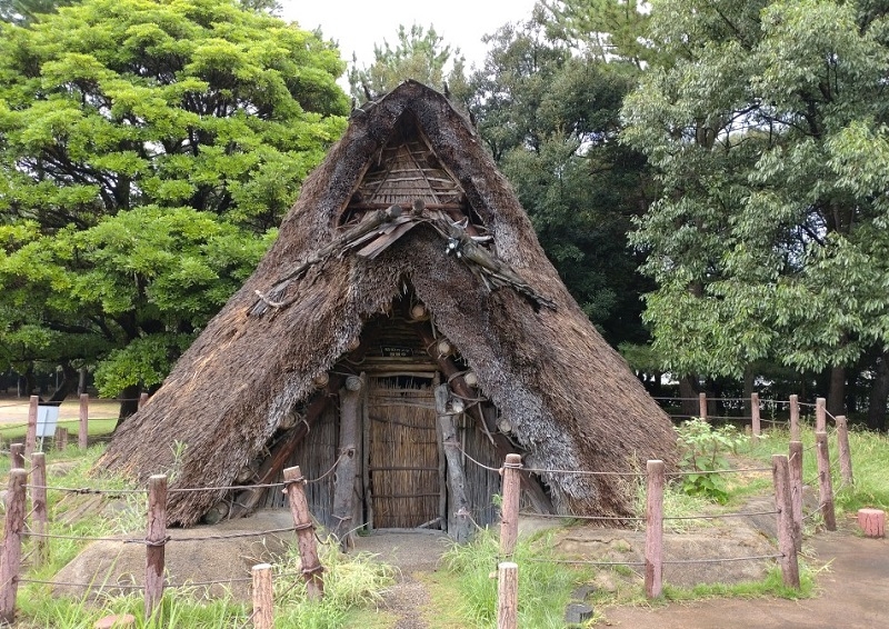 練馬区、中村橋・富士見台、サヤン鍼灸院・接骨院ブログ、御経塚遺跡４