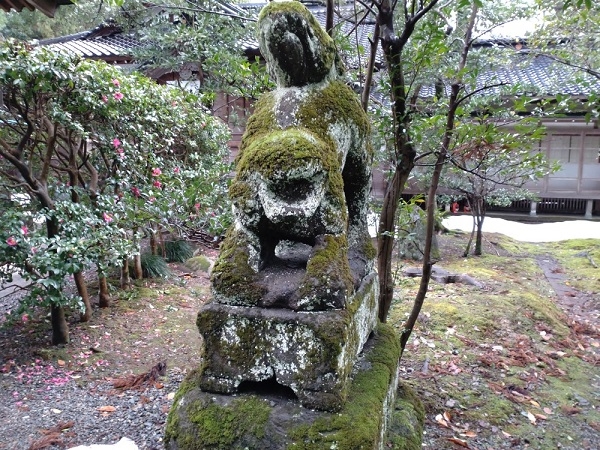 練馬区、中村橋・富士見台、サヤン鍼灸院・接骨院ブログ、狛犬