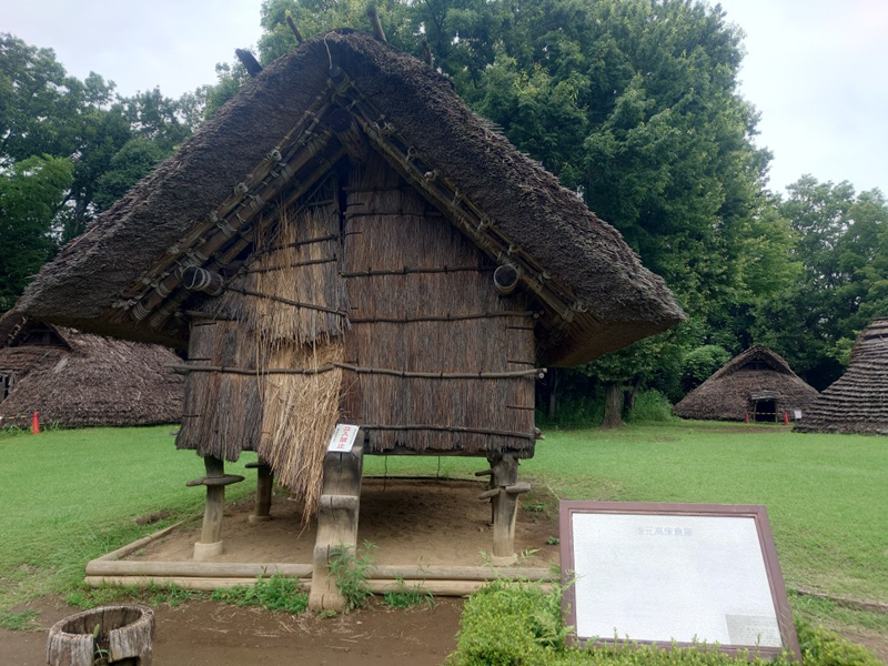 練馬区、中村橋・富士見台、サヤン鍼灸院・接骨院ブログ、キハ3号1