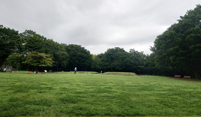 練馬区、中村橋・富士見台、サヤン鍼灸院・接骨院ブログ、歳勝土遺跡１