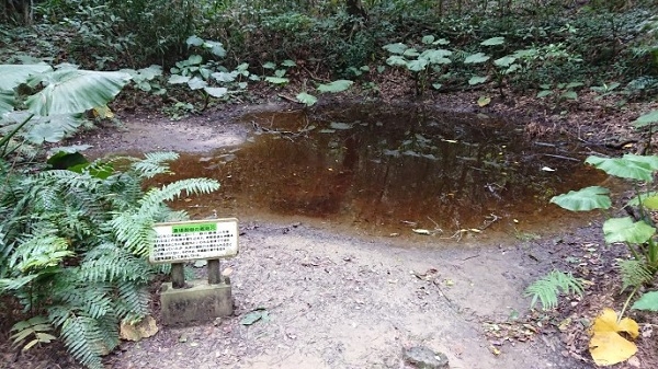 練馬区、中村橋・富士見台、サヤン鍼灸院・接骨院ブログ、斎場御嶽、艦砲穴