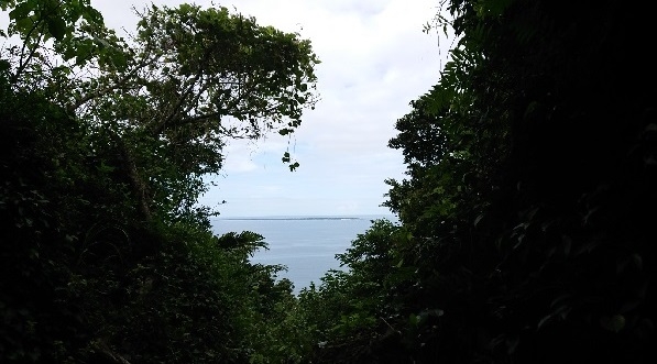 練馬区、中村橋・富士見台、サヤン鍼灸院・接骨院ブログ、斎場御嶽、久高島遥拝所