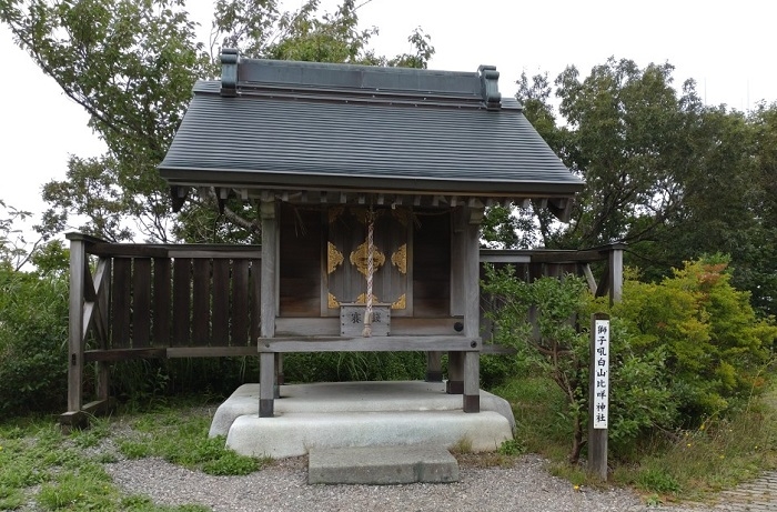 練馬区、中村橋・富士見台、サヤン鍼灸院・接骨院ブログ、獅子吼・白山比咩神社の社