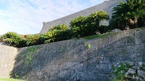 練馬区、中村橋・富士見台、サヤン鍼灸院・接骨院ブログ、首里城公園、道１