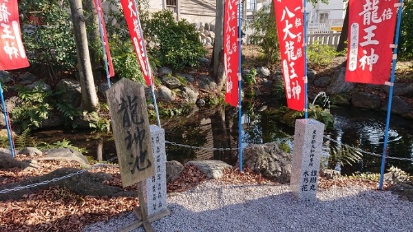 練馬区、中村橋・富士見台、サヤン鍼灸院・接骨院ブログ、秩父今宮神社、龍神池