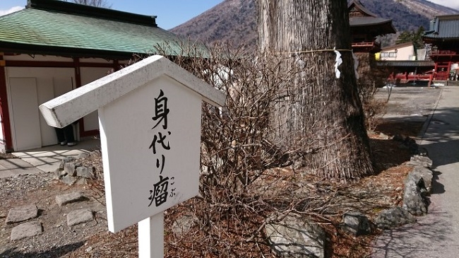 練馬区、中村橋・富士見台、サヤン鍼灸院・接骨院ブログ、中禅寺、身代わり瘤１