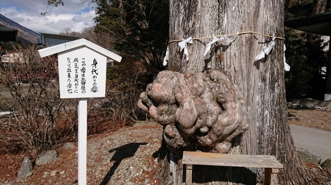 練馬区、中村橋・富士見台、サヤン鍼灸院・接骨院ブログ、中禅寺、身代わり瘤２