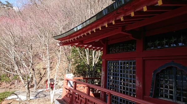 練馬区、中村橋・富士見台、サヤン鍼灸院・接骨院ブログ、中禅寺、立木観音を見た後