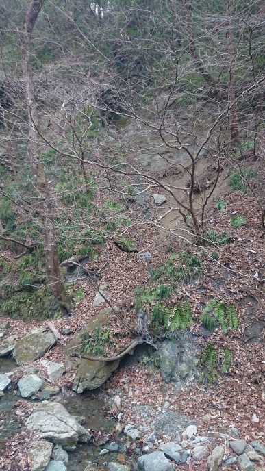 練馬区、中村橋・富士見台、サヤン鍼灸院・接骨院ブログ、和銅遺跡露天掘り跡