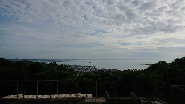 練馬区、中村橋・富士見台、サヤン鍼灸院・接骨院ブログ、ユインチ南城、小道