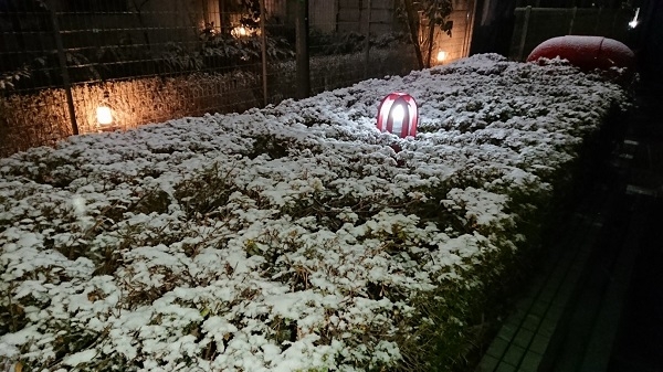 練馬区、中村橋・富士見台、サヤン鍼灸院・接骨院ブログ、２０１９年２月の雪１