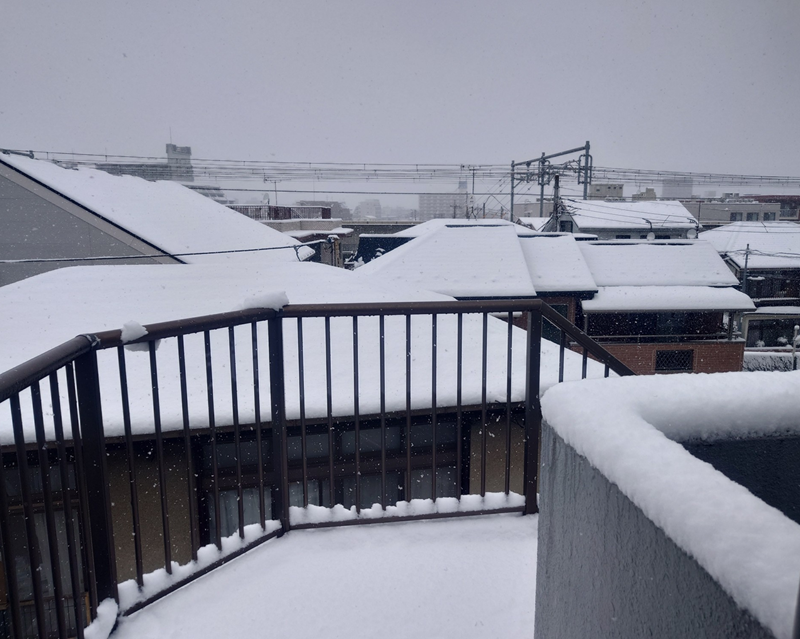 練馬区、中村橋・富士見台、サヤン鍼灸院・接骨院ブログ、雪景色１