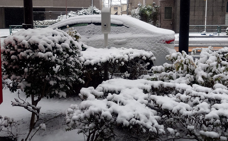 練馬区、中村橋・富士見台、サヤン鍼灸院・接骨院ブログ、雪景色３