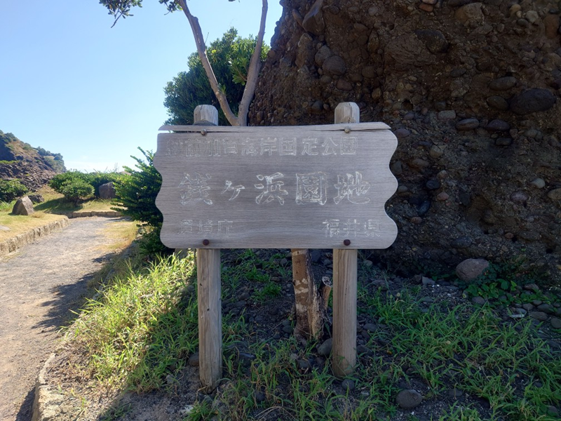 練馬区、中村橋・富士見台、サヤン鍼灸院・接骨院ブログ、銭が浜2